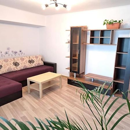 شقة بوخارست  في Apartament Titulescu/Banu Manta المظهر الخارجي الصورة